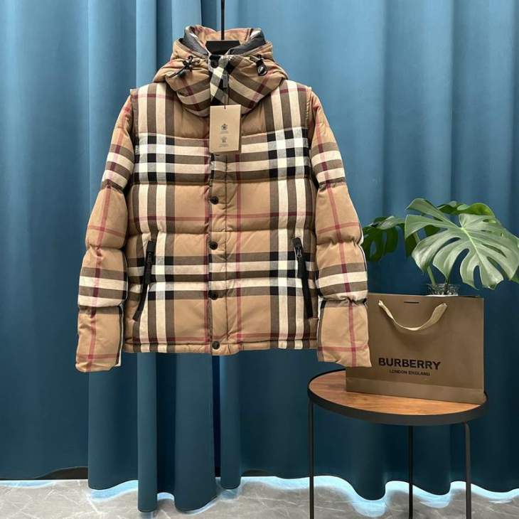 Picture of Burberry Down Jackets _SKUBurberryS-XLxetr10637954